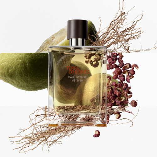 Terre d'Hermès Eau Intense Vetiver - Eau de Parfum HERMÈS